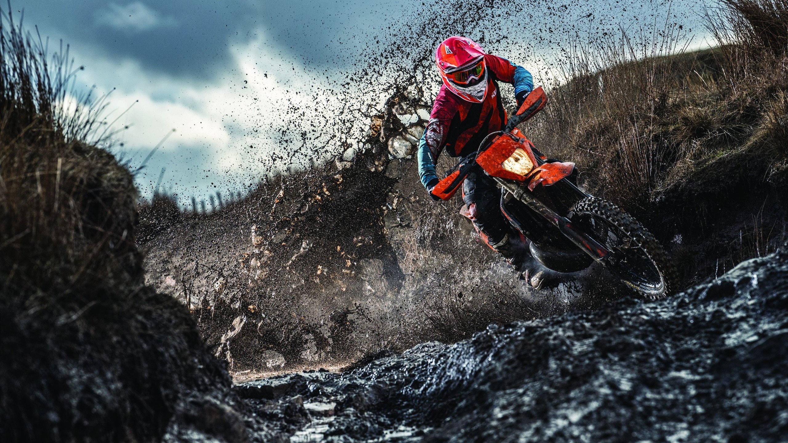 爱游戏体育平台-RNG主教练专访谈未来，rng现在主教练